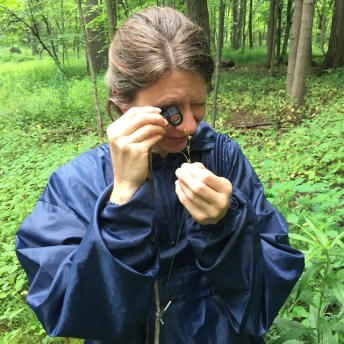 Lisa the sedge Inspector, Stephen Packard, July 2015