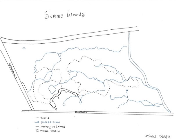 Somme Woods Trails, Streams, and Ponds