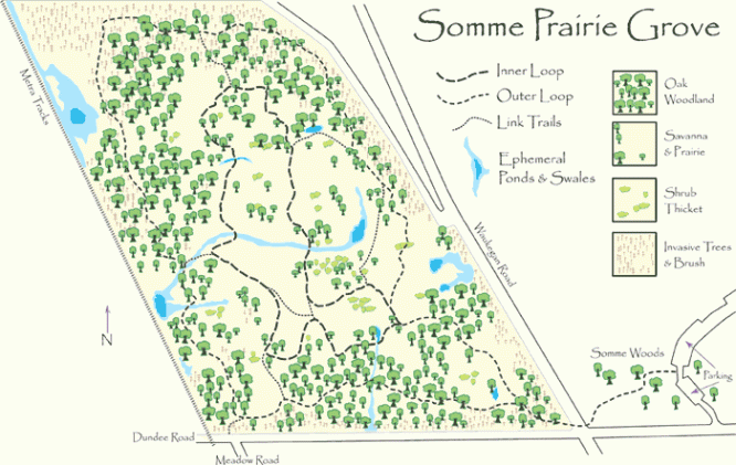 Map of Somme Prairie Grove, Cartographer –Stephen Packard