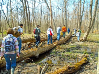 Walking Into the Woods, Stephen Packard, August 2015